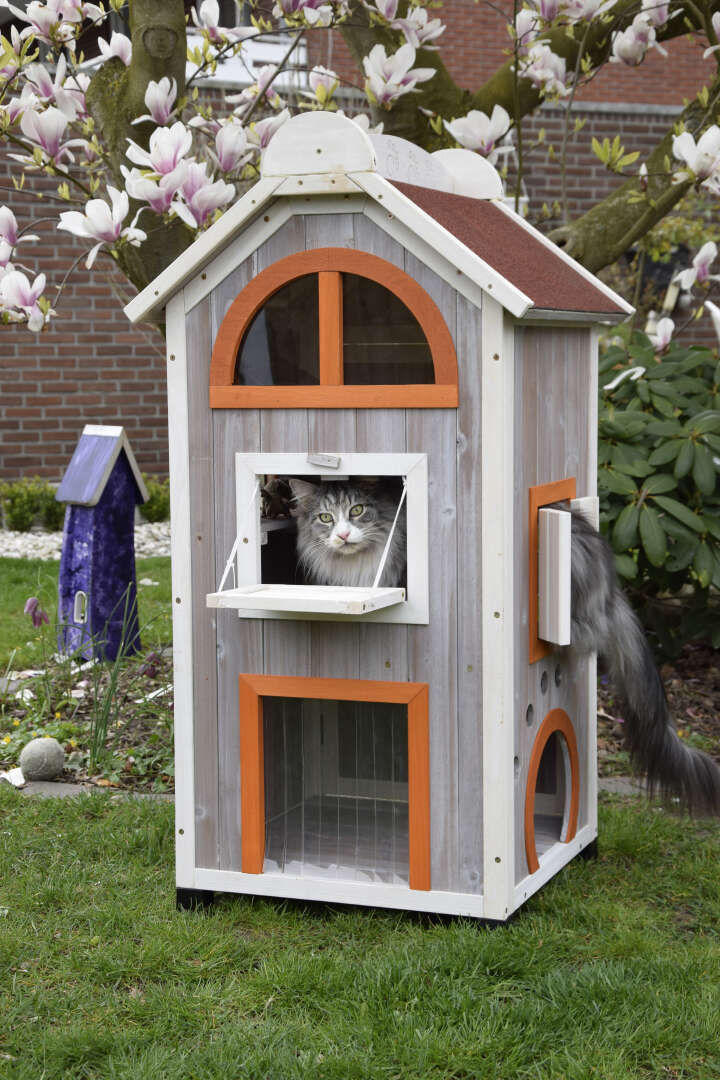 dobar Katzenhaus Fancy Cat